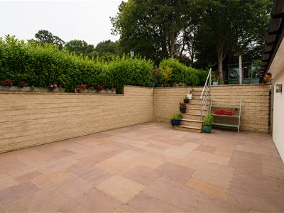 Picture 14